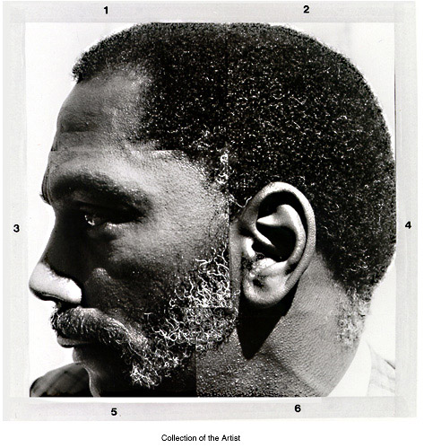 Arithmetical Portrait, 1972 - Lew Thomas